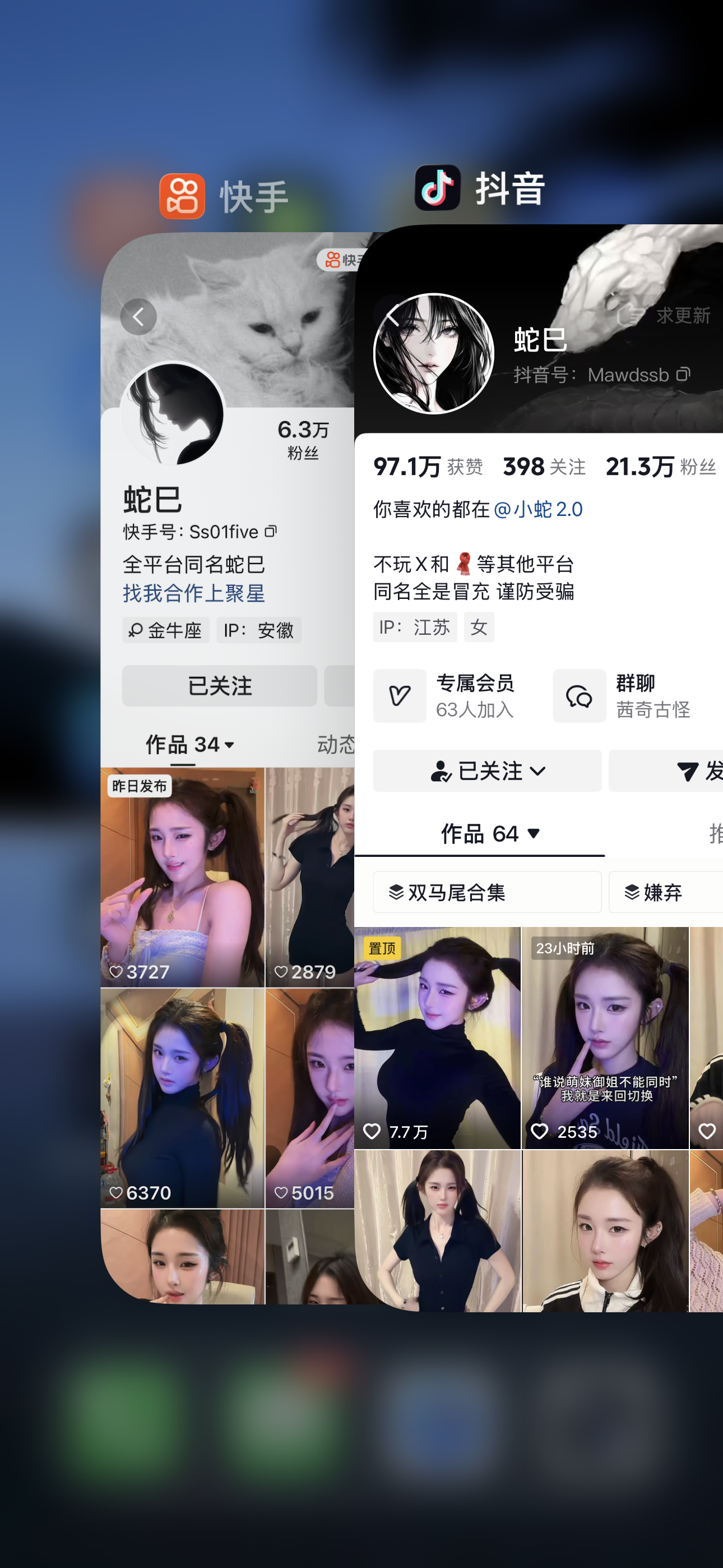 蛇巳 合集